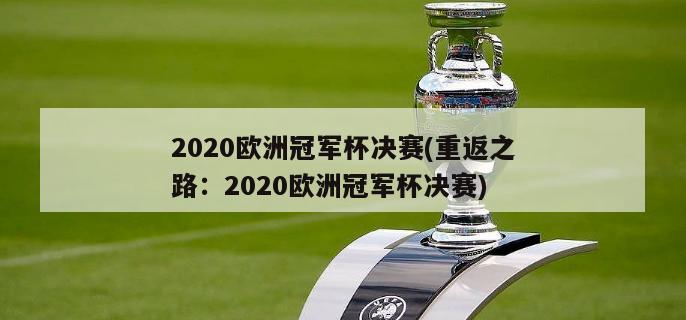 2020欧洲冠军杯决赛(重返之路：2020欧洲冠军杯决赛)